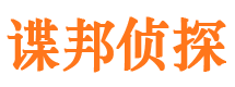 大埔市侦探调查公司